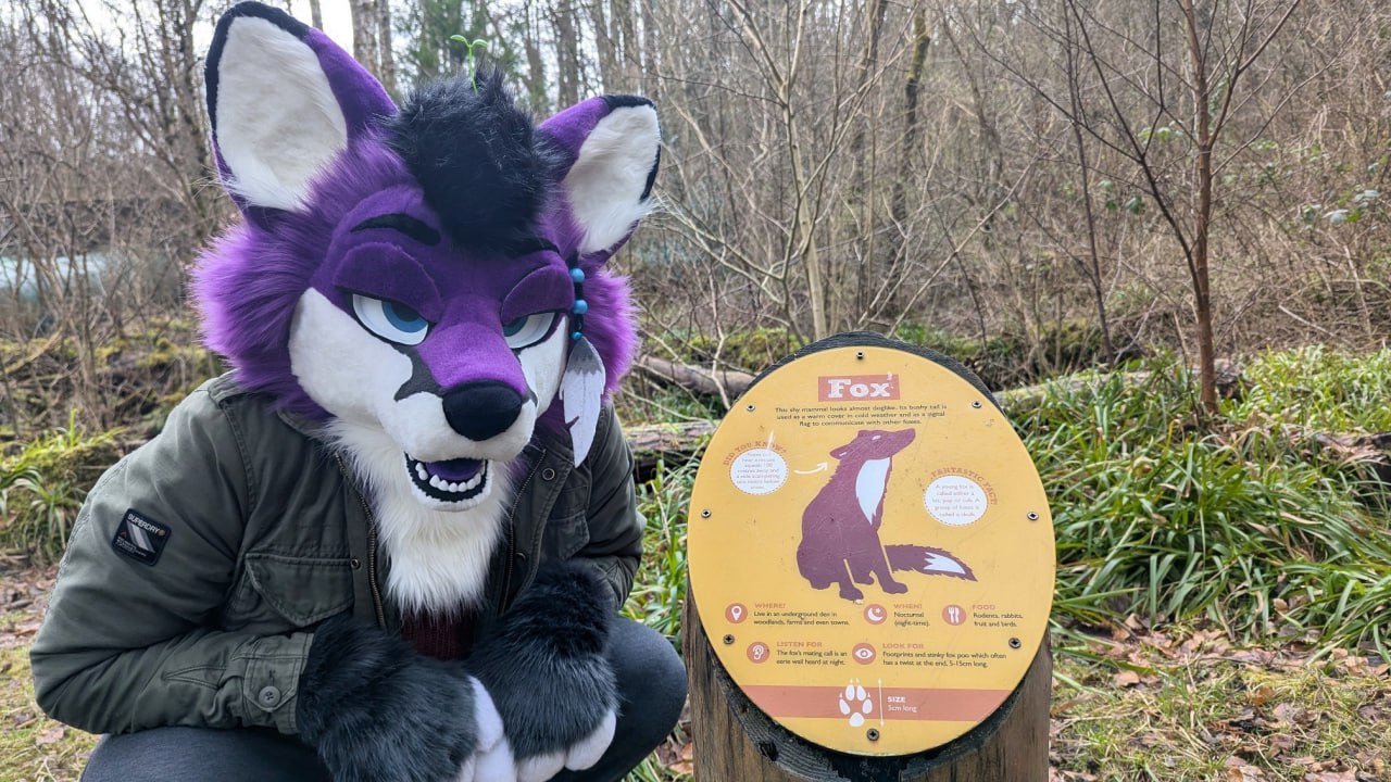 Kumo Fursuit
