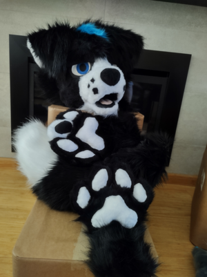 PRE-MADE CANINE COLLIE - PRE-MADE CANINE COLLIE